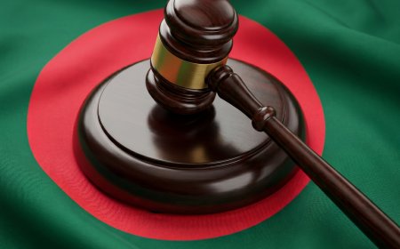 A Law That Freezes Politics