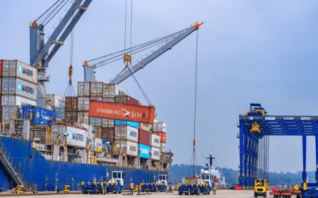 The Cost of Anti-Export Bias
