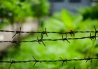 The Border Still Bleeds