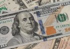 Why the Dollar Remains Inevitable