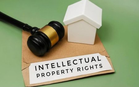 Why Intellectual Property Rights Matter