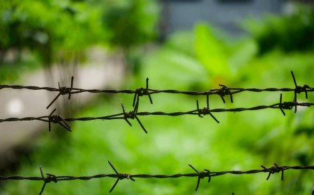 The Border Still Bleeds