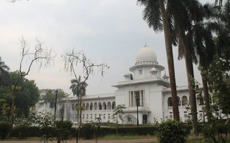 When Courts Meet Politics in Bangladesh