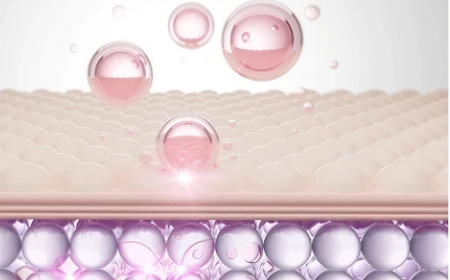 The Role of Collagen