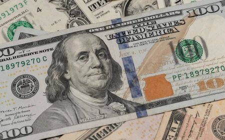 Why the Dollar Remains Inevitable