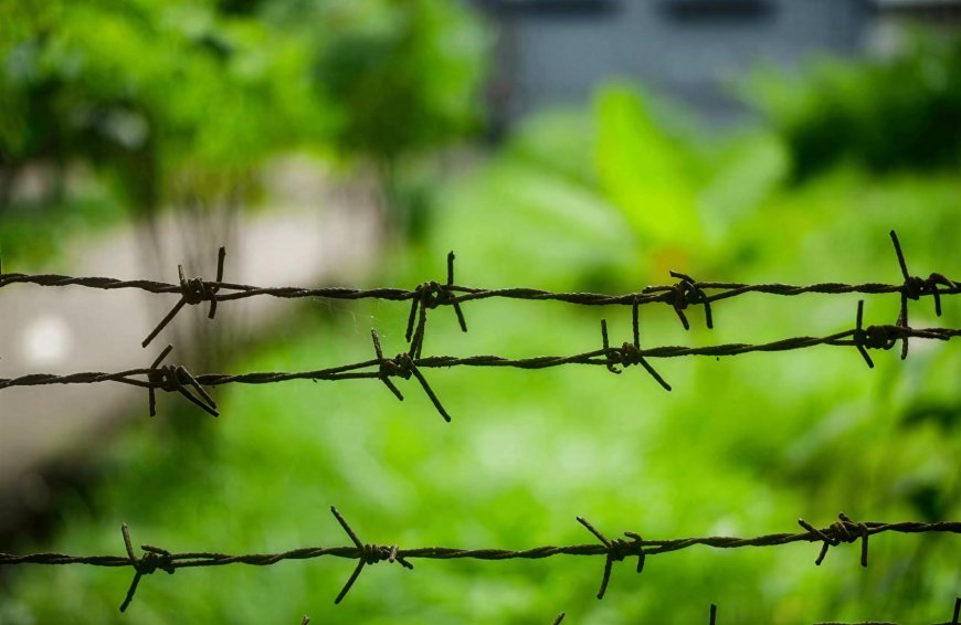 The Border Still Bleeds
