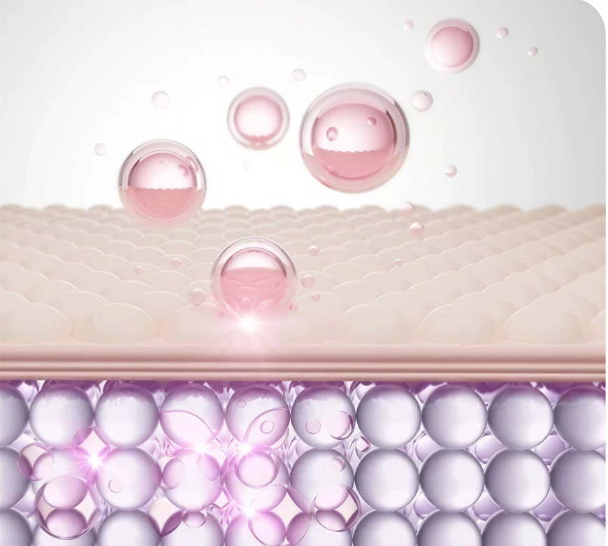 The Role of Collagen