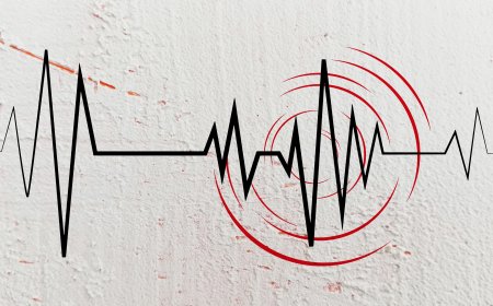 A Nation on a Fault Line