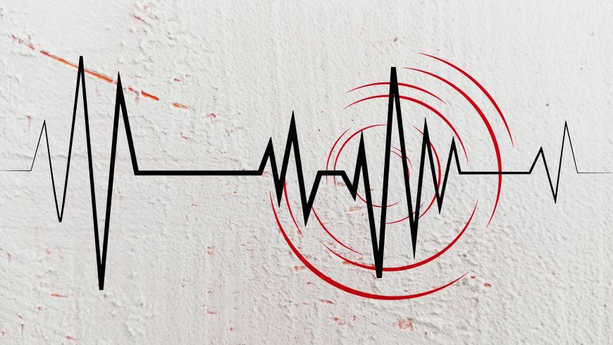 A Nation on a Fault Line