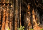 A Tale of Two Clans from Medieval Sylhet