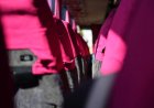 The Pink Bus Test