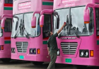 We're Missing the Key Point About the Pink Buses