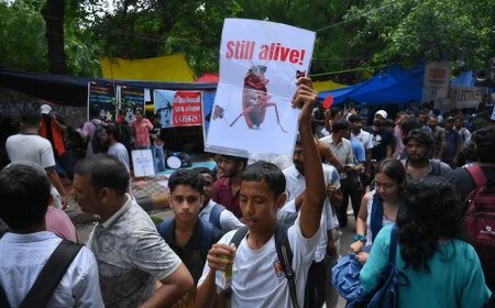 India’s Cockroach Party Protests Have a Powerful Precedent -- and It Isn’t the Arab Spring