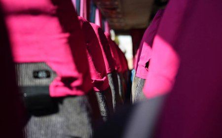 The Pink Bus Test