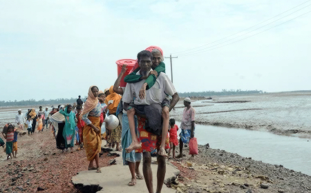 How We Talk About the Rohingya Matters