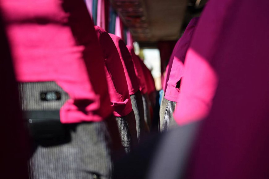 The Pink Bus Test