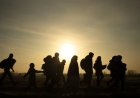 Understanding the New Immigration Reality