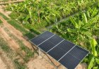 Bangladesh’s Renewable Energy Transition