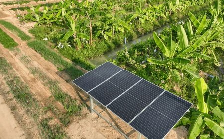 Bangladesh’s Renewable Energy Transition