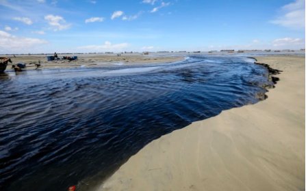 How Salinity is Threatening Coastal Public Health