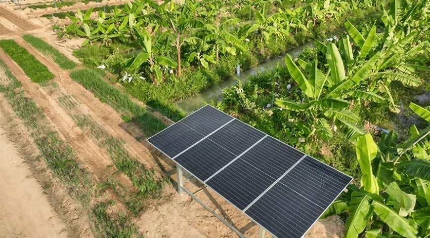 Bangladesh’s Renewable Energy Transition