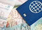When Sexuality Becomes a Visa Strategy
