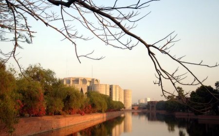 From the Politics of Power to the Politics of National Service
