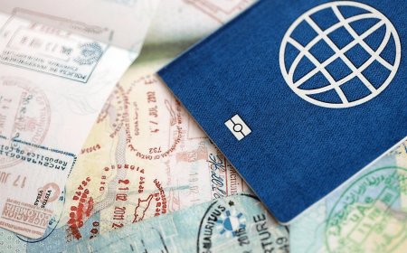 When Sexuality Becomes a Visa Strategy