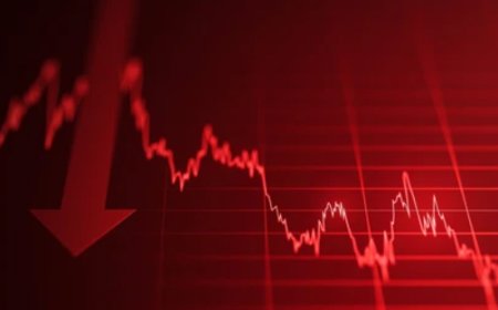 A State of Economic Emergency