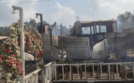 When Survival Becomes the Guest’s Responsibility
